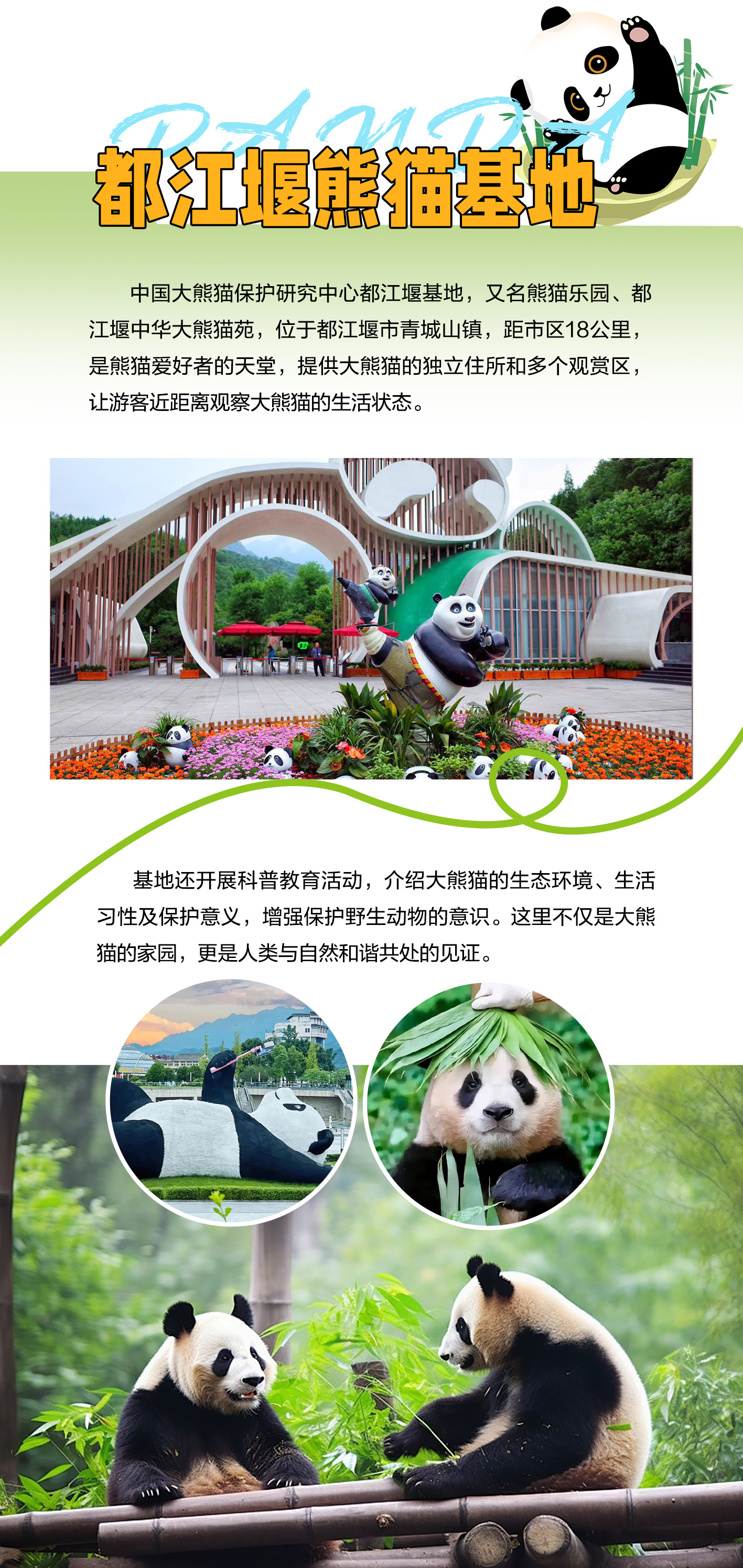 A-002---0725 大熊猫体验日 行程 拷贝2-1