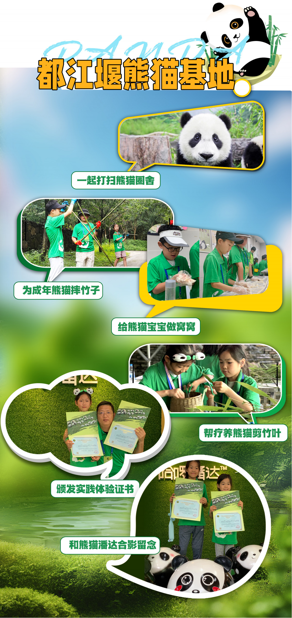 A-003---0725 大熊猫体验日 行程 拷贝2-1