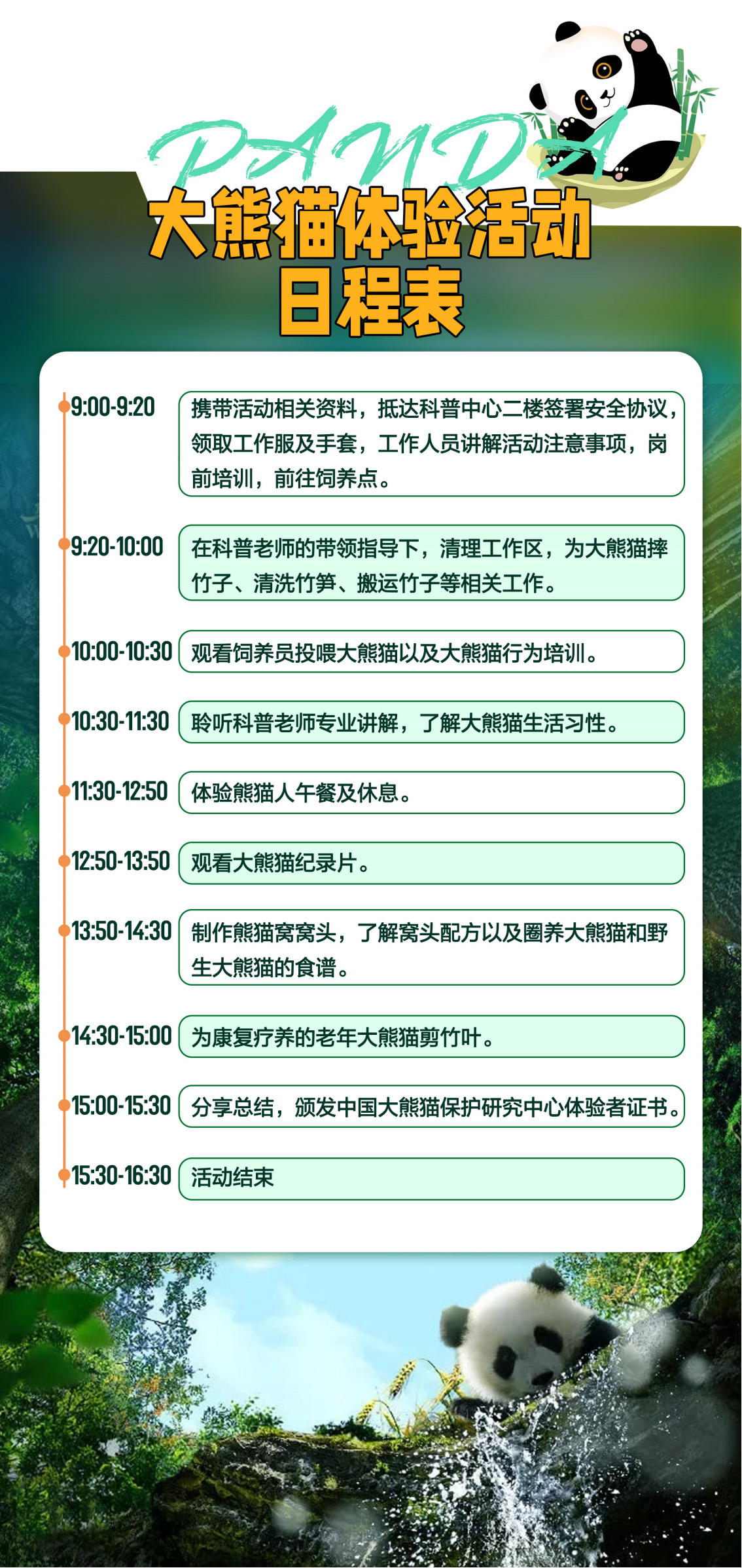 A-005---0725 大熊猫体验日 行程 拷贝2-1