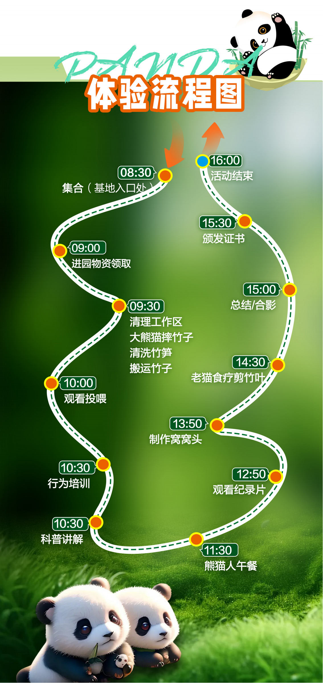 A-004---0725 大熊猫体验日 行程 拷贝2-1